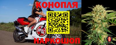 МДПВ Краснознаменск