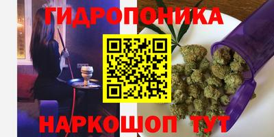 МДПВ Краснознаменск