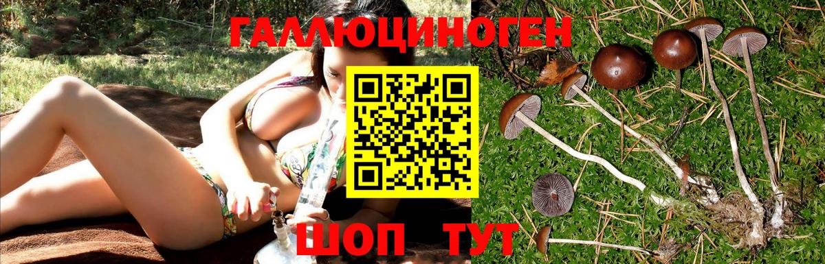 Псилоцибиновые грибы мухоморы  как найти закладки  Шали  Вход с VPN 