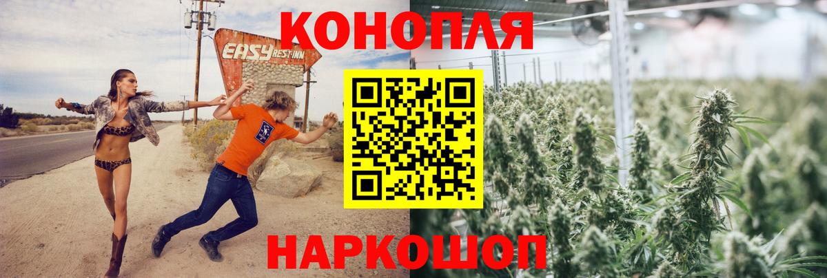 Шишки марихуана сатива  Конопля марихуана  Шали  Вход с VPN 